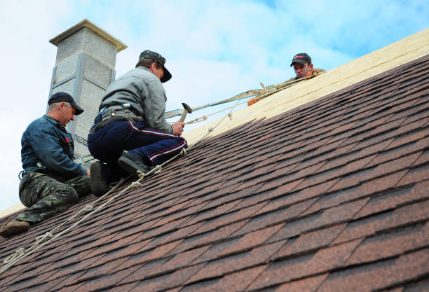 Best Gutter Installation and Roofing  in Oakland, TN